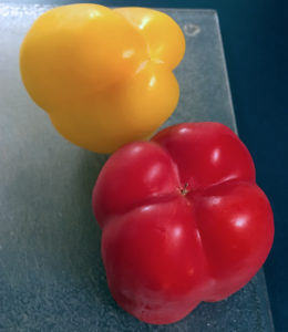 Male or female bell pepper