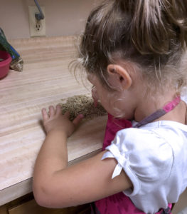 Sorting beans makes the kitchen fun for your kids