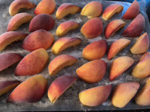 Peach slices ready to freeze...peachsicles!