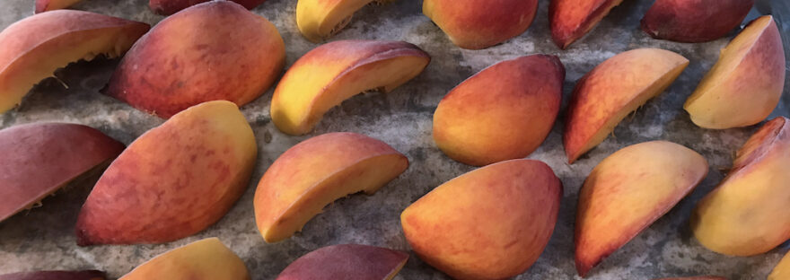 Peach slices ready to freeze...peachsicles!