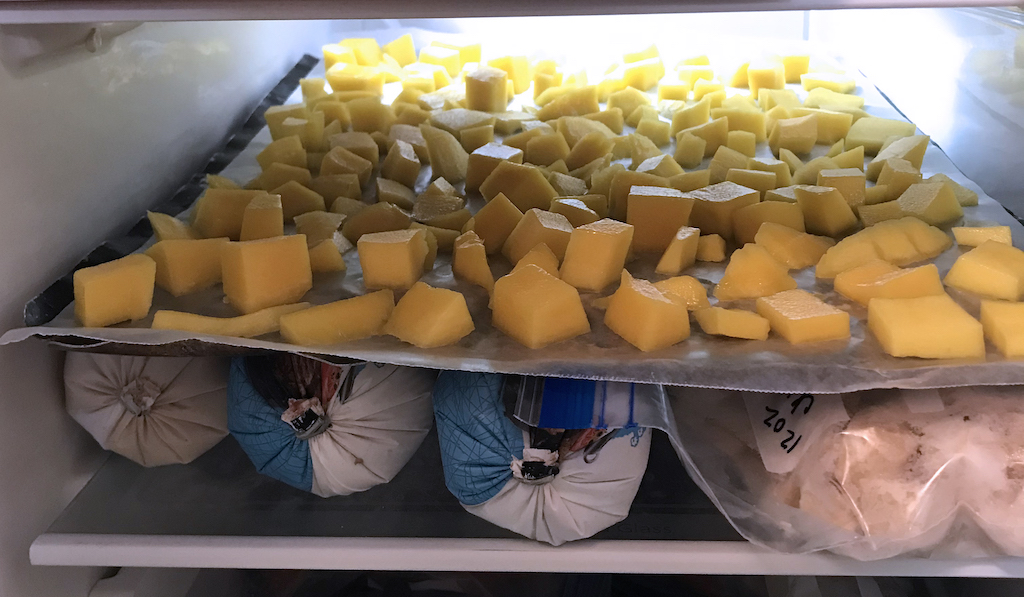 Mango chunks ready for freezing