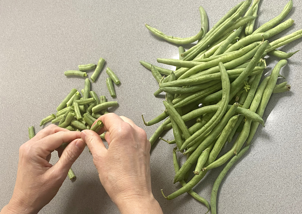 Snapping green beans