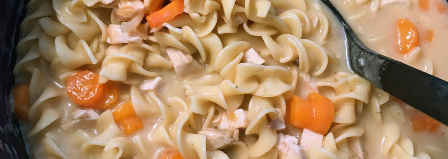 chicken noodle soup for the cold season