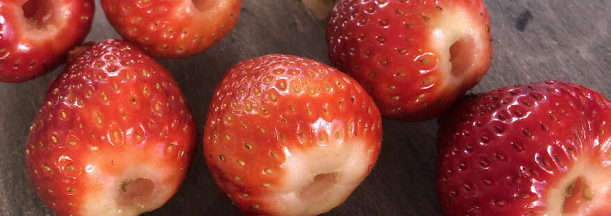 Any unlikely tool makes prepping strawberries easier