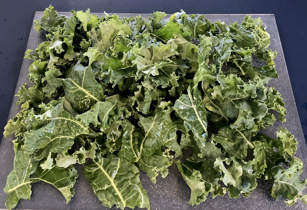 Too much kale? try freezing it for later!