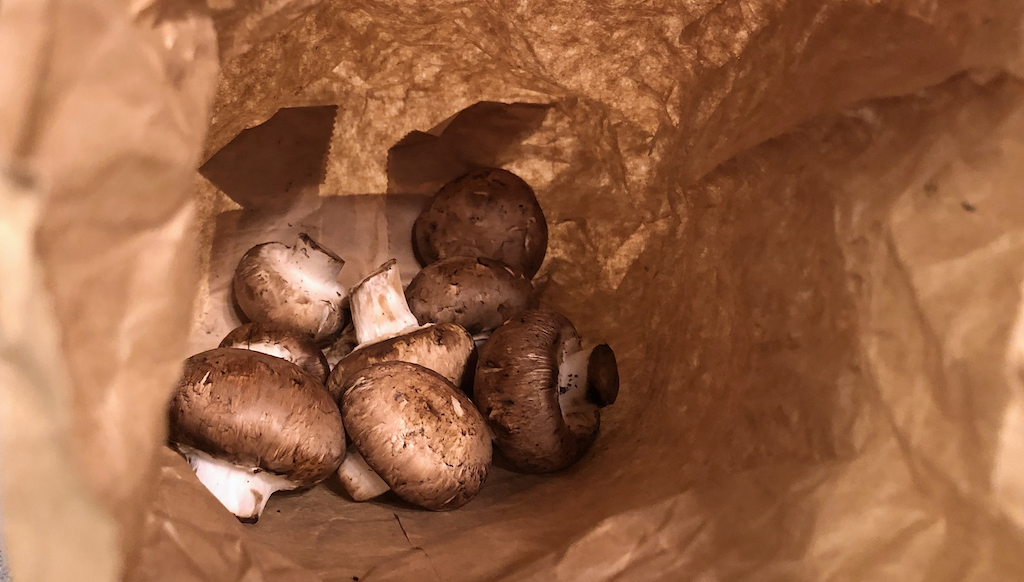 Pour your mushrooms into a lunch-sized paper bag in your fridge's crisper.